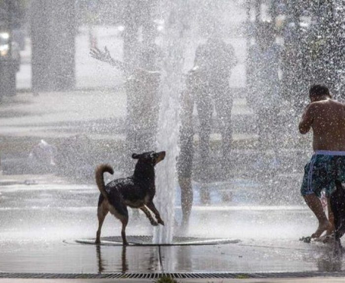 Tras el invierno más frío en años anuncian posible verano más caluroso de la historia: los efectos de La Niña