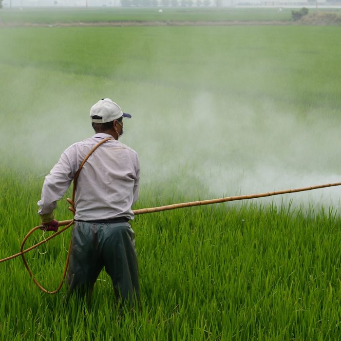 Restringir el acceso a pesticidas y armas de fuego podría prevenir más de 120 mil muertes por suicidio en las Américas Restringir el acceso a pesticidas y armas de fuego podría prevenir más de 120 mil muertes por suicidio en las Américas