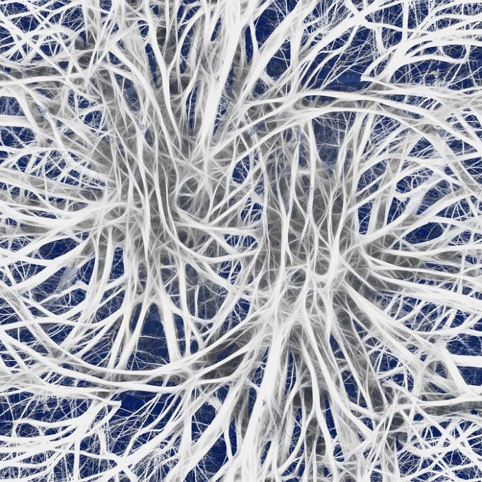 Qué herramientas contribuyen a cuidar nuestro cerebro y lograr el bienestar integral