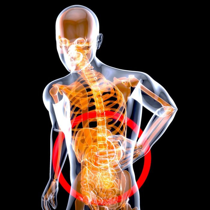 Científicos descubren qué gérmenes intestinales desencadenan la alimentación compulsiva Científicos descubren qué gérmenes intestinales desencadenan la alimentación compulsiva