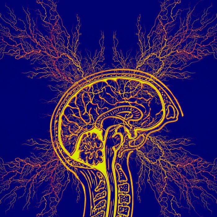 Novedoso tratamiento logra controlar los temblores de un paciente con Parkinson