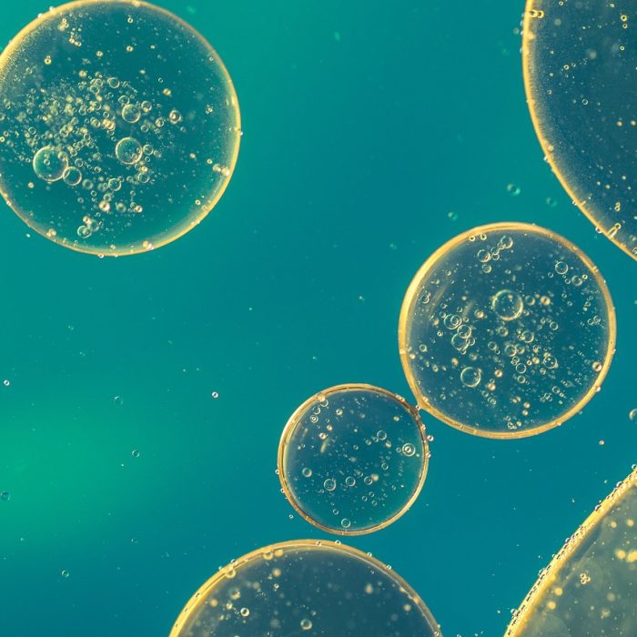 Desarrollo de una vacuna de ARNm contra la influenza aviar humana Desarrollo de una vacuna de ARNm contra la influenza aviar humana