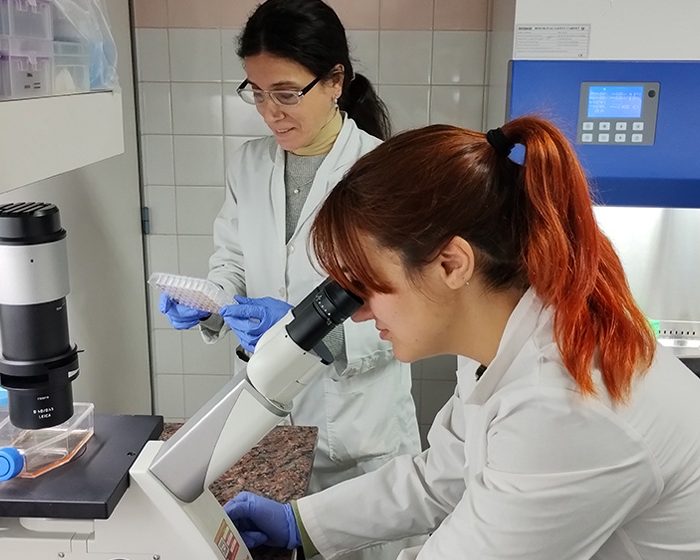 El papel de los anticuerpos en el desarrollo de un virus que afecta a menores de un año