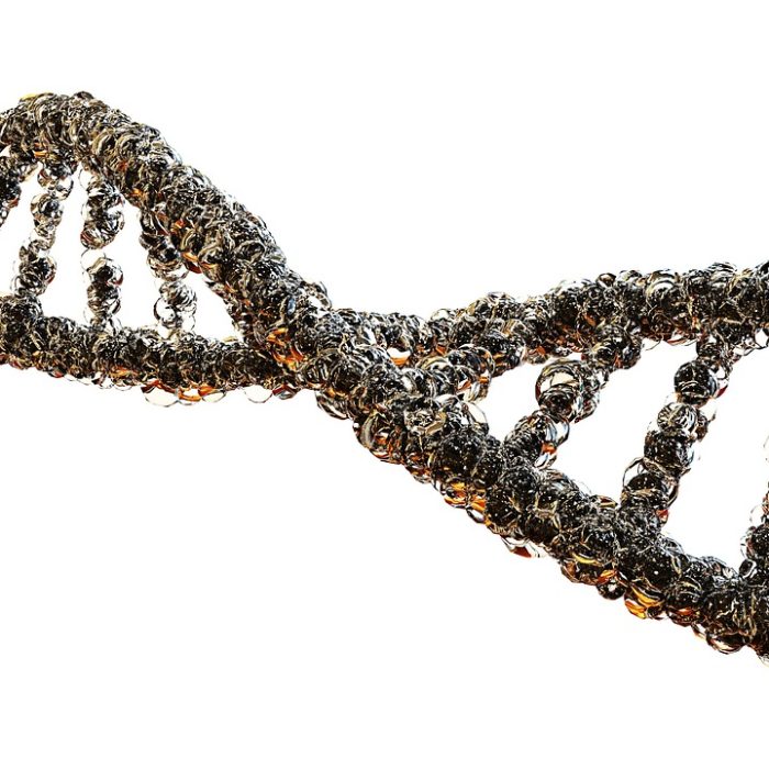 Silenciar los genes, la estrategia que permitirá tratar gran variedad de patologías