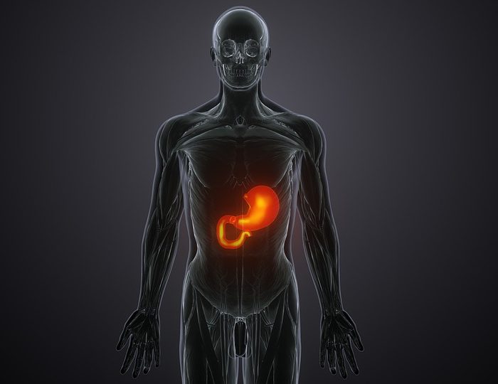 Nuevo test para informar sobre metabolismo y enfermedades autoinmunes