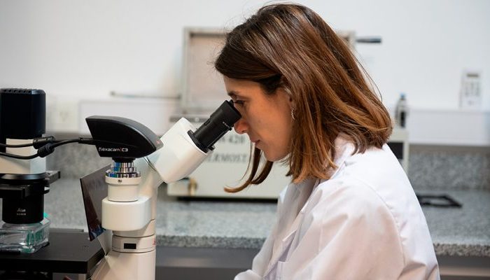 La beca es para la científica que desarrolla un stent cardiovascular capaz de desintegrarse cuando el cuerpo ya no lo necesita