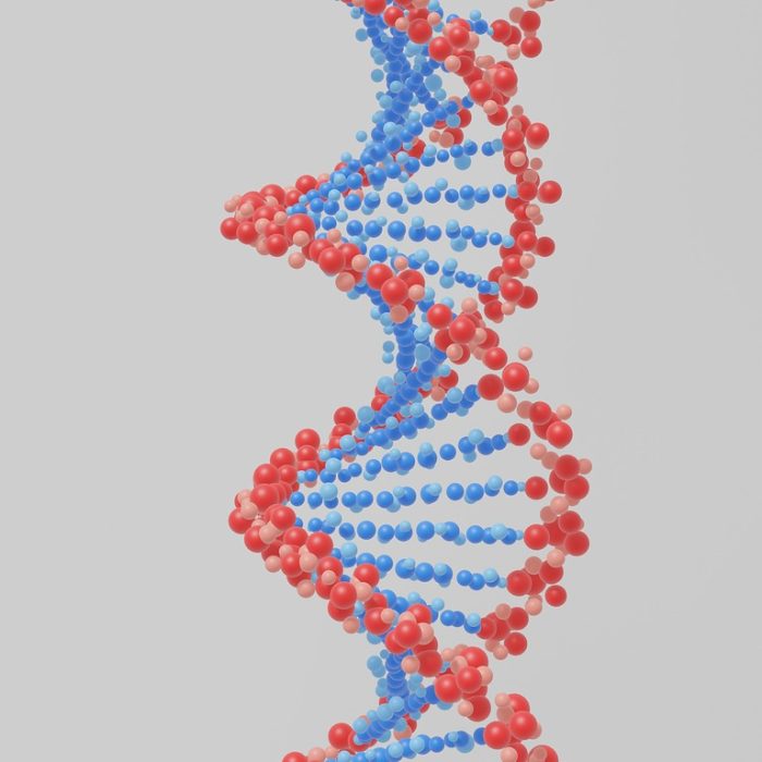 Hito en biología sintética: nueva enzima produce TNA para futuros fármacos