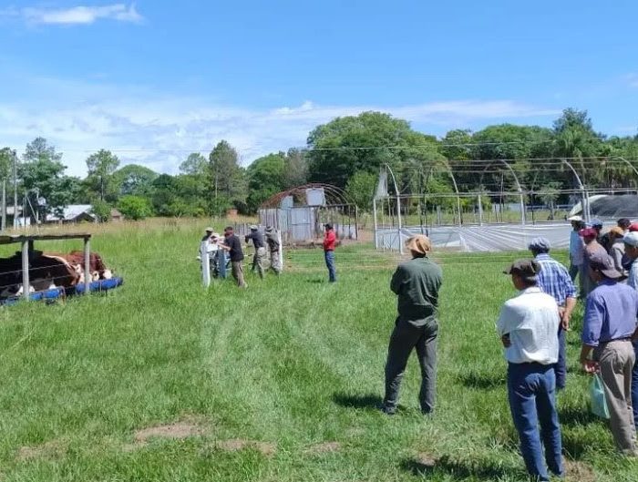 Centennials: el desafío de la integración generacional en las empresas agropecuarias Centennials: el desafío de la integración generacional en las empresas agropecuarias