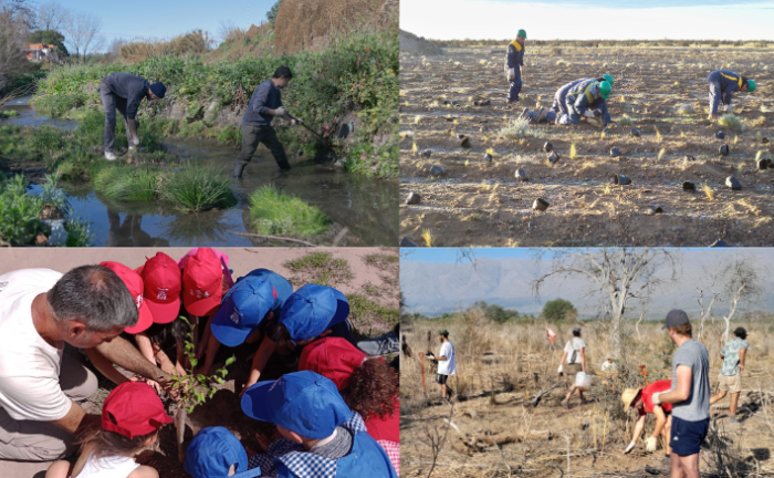 En la Argentina hay más de 200 proyectos de restauración ecológica
