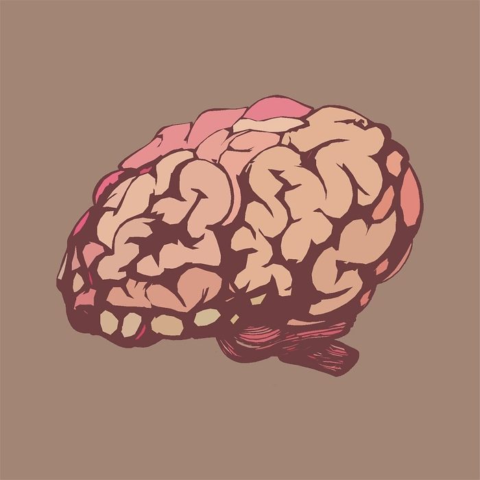 Cuál es el mecanismo cerebral durante el sueño que mejora las funciones visuales y cognitivas