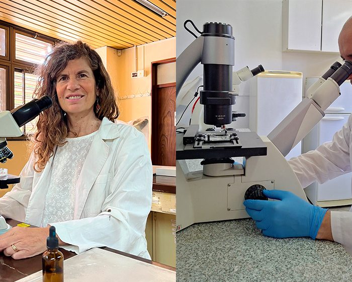 Las posibilidades de contraer trichinellosis a partir del consumo de distintos productos porcinos