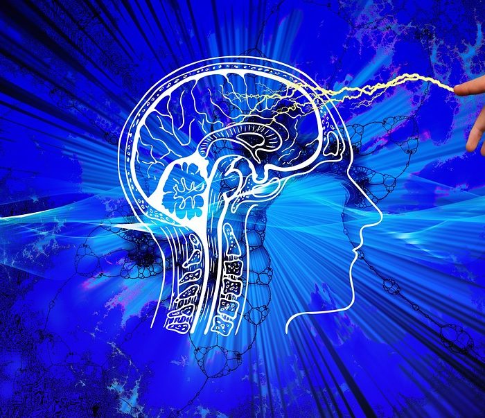 Nuevos hallazgos en salud mental Nuevos hallazgos en salud mental