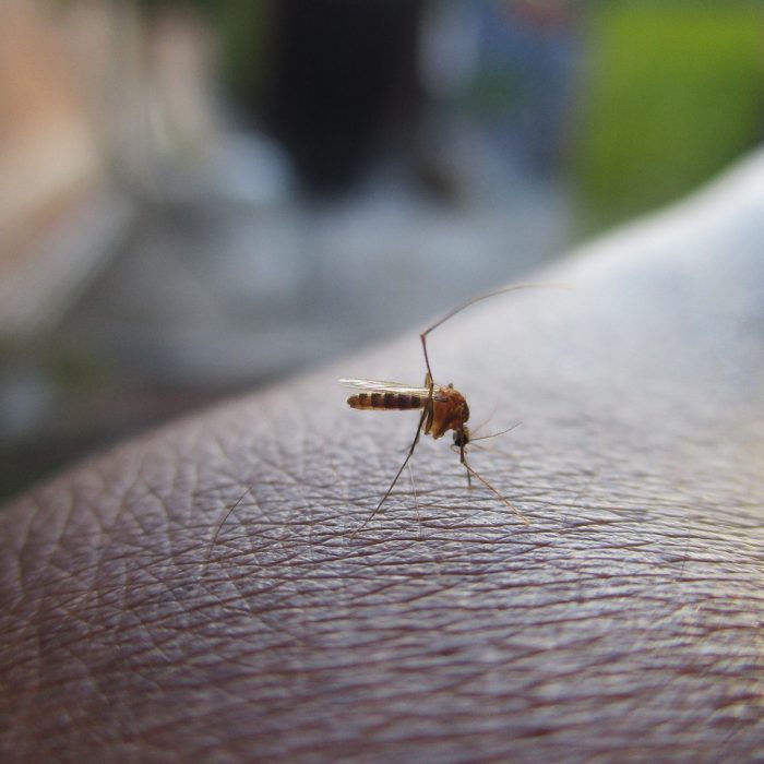 Descubren un mecanismo inesperado que utilizan los virus para causar infección