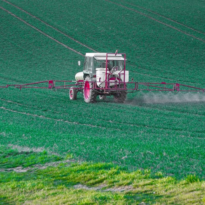 Malezas resistentes a herbicidas desafían a la agricultura
