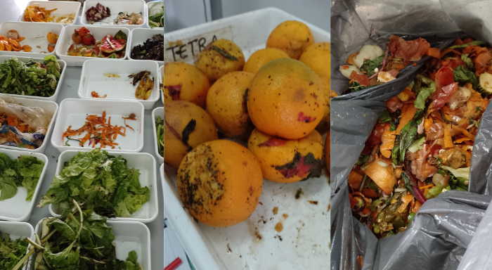 Verdulerías, un punto clave de desperdicio de alimento