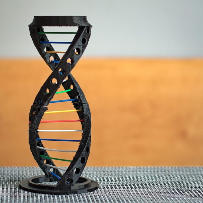 Yale descubre una herramienta de edición genética que frena el crecimiento de cuatro tipos de cáncer Yale descubre una herramienta de edición genética que frena el crecimiento de cuatro tipos de cáncer