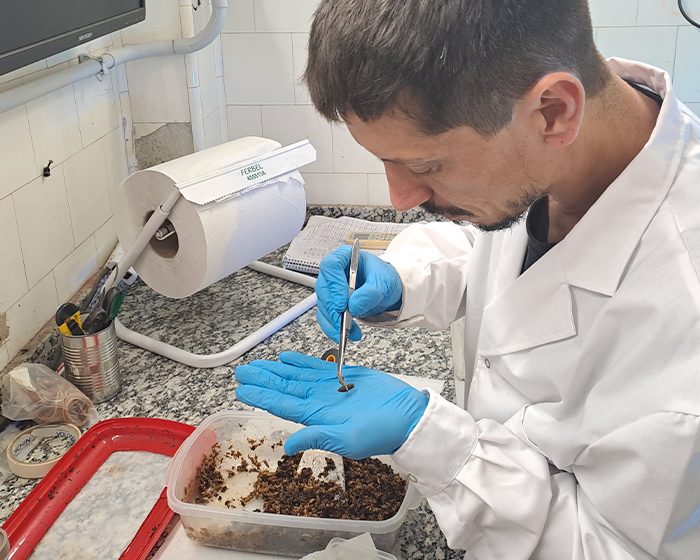 Revalorizar residuos orgánicos de la industria alimentaria