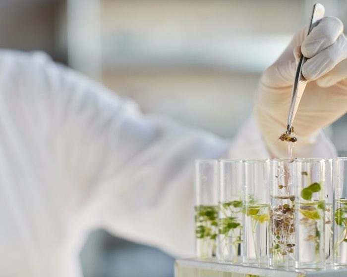 Entregan AXA Chair a científico del CONICET por su trabajo en Biología del ARN para una agricultura sostenible