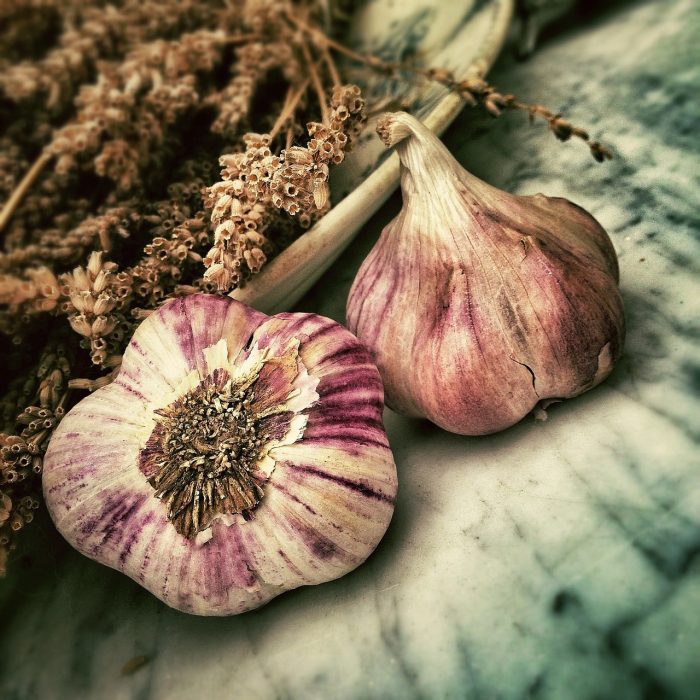 Mulching orgánico: un aliado para el cultivo de ajo