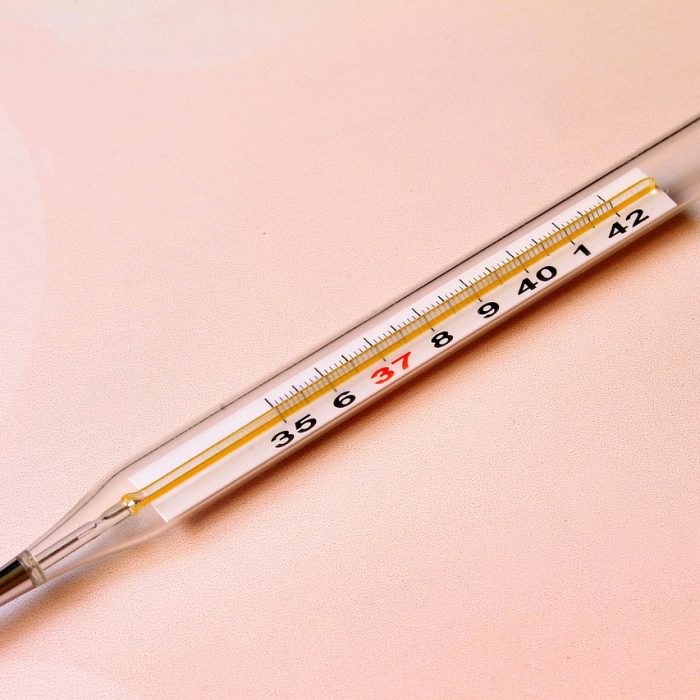 La gripe aviar podría propagarse por el aire, según una nueva investigación