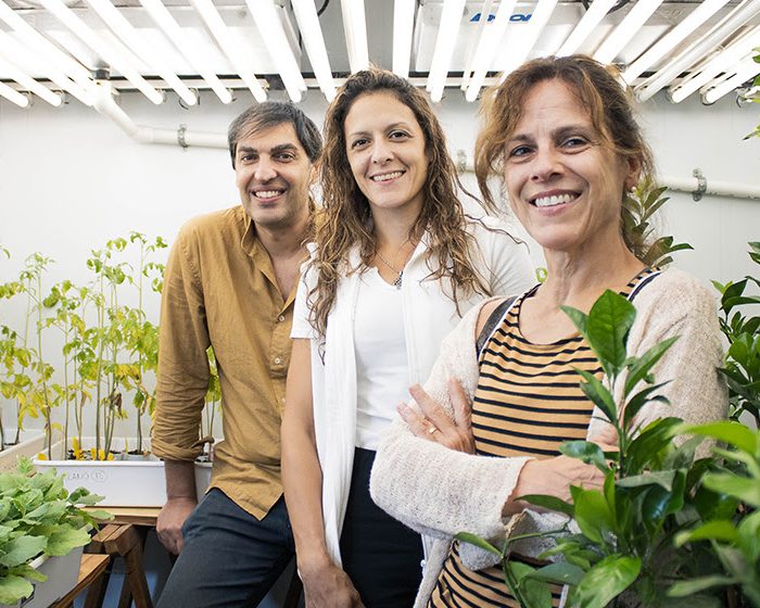 El prometedor hallazgo sobre la planta de romero que abre puertas a una vinculación tecnológica con la Unión Europea