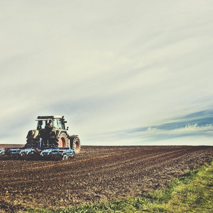 Agricultura inteligente: sensor de temperatura de bajo costo
