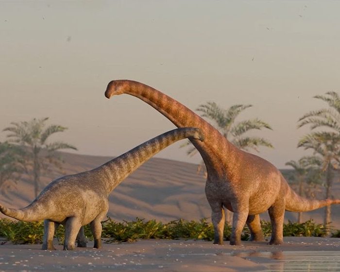 Descubren en Patagonia restos de una nueva fauna de 75 millones de años de antigüedad