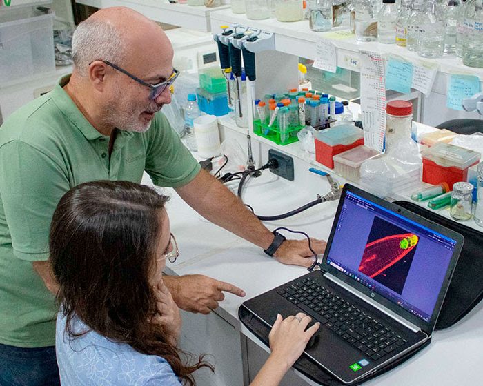 Descifran nuevos secretos sobre la regeneración de las plantas