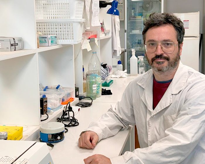 Identifican nuevo rol clave de una proteína en la eficiencia de la respuesta inmune