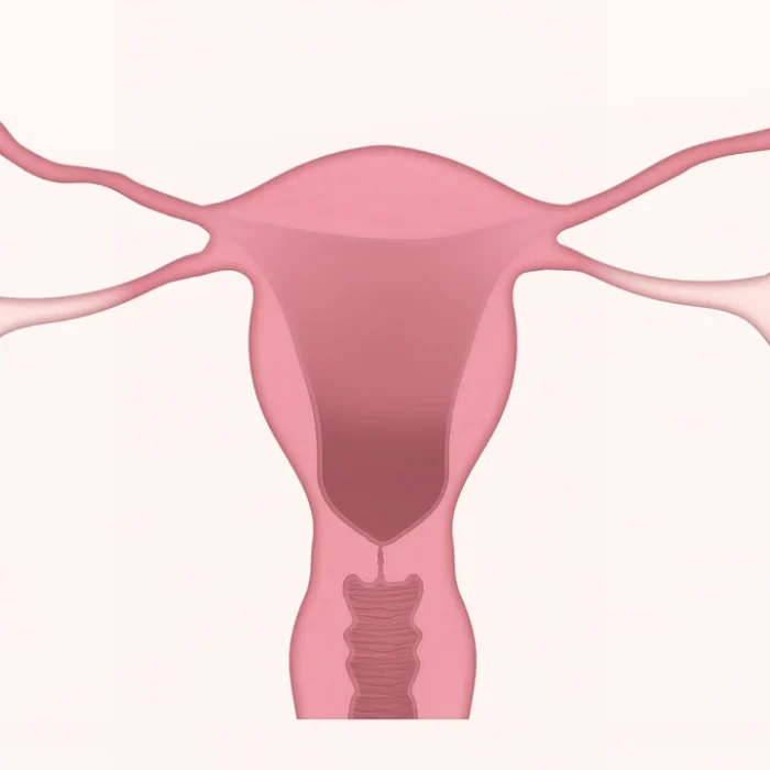 En Argentina se diagnostican 4 mil casos al año de cáncer de cuello uterino En Argentina se diagnostican 4 mil casos al año de cáncer de cuello uterino