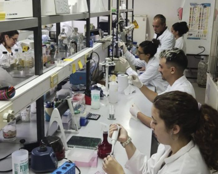Testean una droga usada contra enfermedades genéticas humanas para combatir insectos que se alimentan de sangre