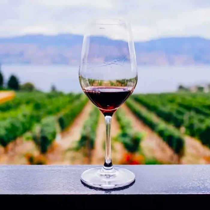 Malbec de alta gama argentino