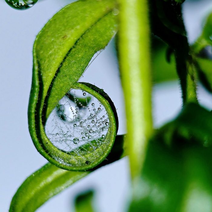 ¿Heladas en retroceso? El cambio climático impacta en el agro argentino