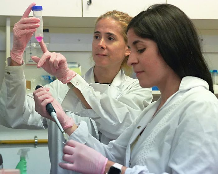 Nuevas claves para comprender el COVID prolongado