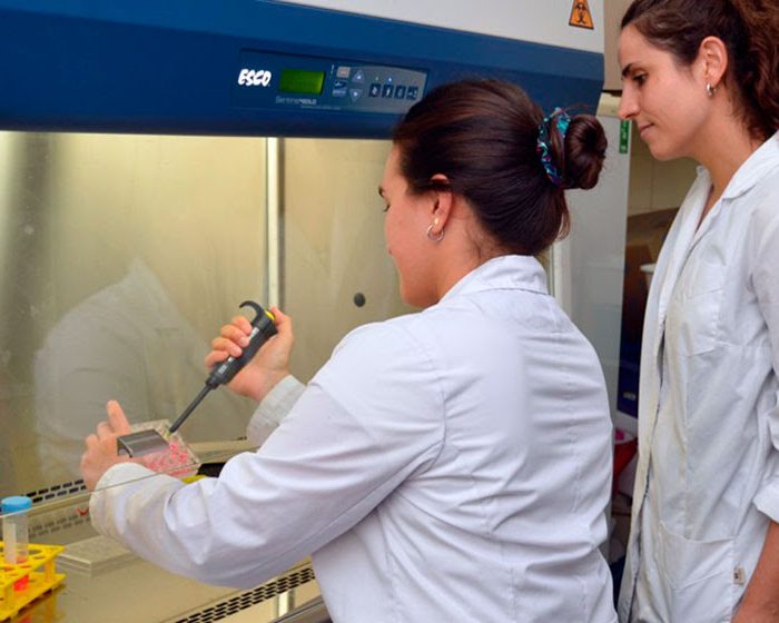 Científicas del CONICET estudian la acción de levaduras presentes en el kefir y el vino frente a la infección de Salmonella