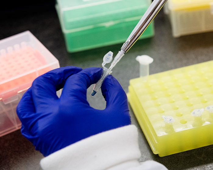 Dengue, Chagas, viruela de mono, chikunguñya y Covid son algunas de las patologías que se pueden identificar en solo 1 hora a través de sus productos