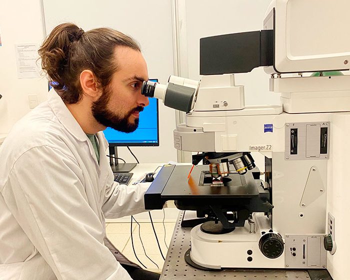 Diabetes tipo 1: nuevo hallazgo para generar células beta productoras de insulina con fines terapéuticos