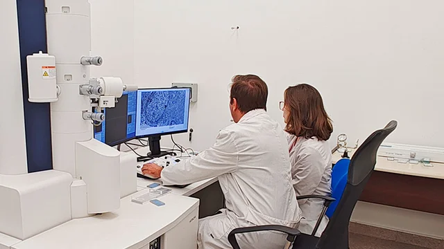 Científicos argentinos hallan una nueva forma de frenar el crecimiento de tumores intracraneales