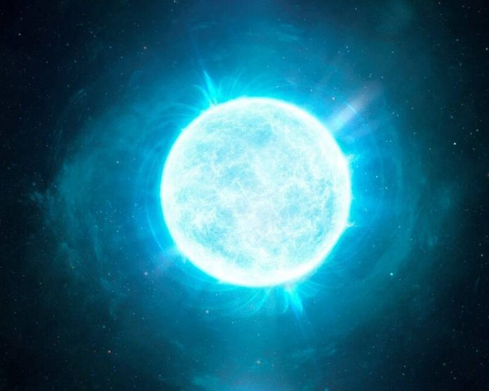 Astrónomos argentinos participaron del descubrimiento de un inusual tipo de estrella Astrónomos argentinos participaron del descubrimiento de un inusual tipo de estrella