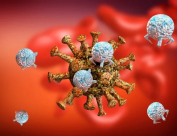 La inmunología se consolida como una herramienta clave para prevenir enfermedades La inmunología se consolida como una herramienta clave para prevenir enfermedades