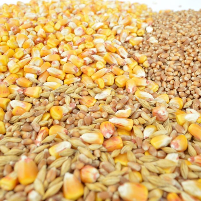 Una pyme tandilense duplicó su producción al sumar un equipo que optimiza el pulido y pelado de cereales