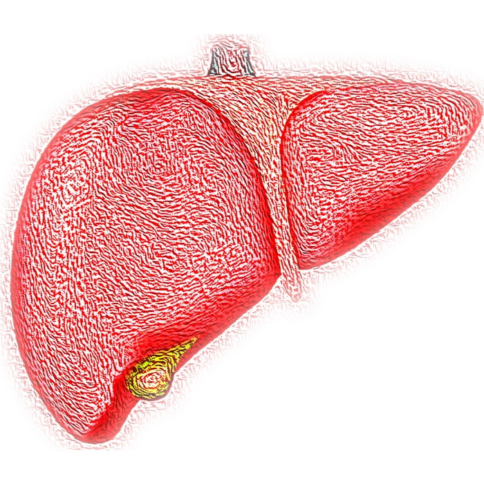 Identifican un biomarcador de riesgo sistémico en pacientes de enfermedad hepática Identifican un biomarcador de riesgo sistémico en pacientes de enfermedad hepática