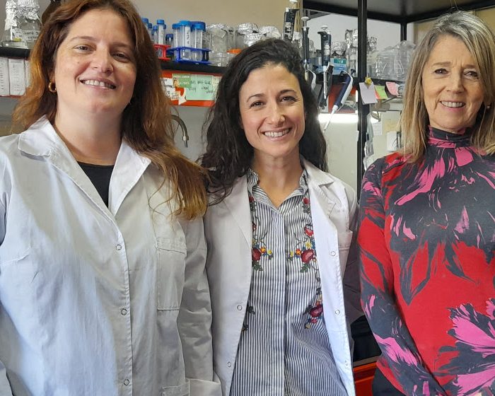 Importante paso hacia el desarrollo de una vacuna contra la brucelosis porcina