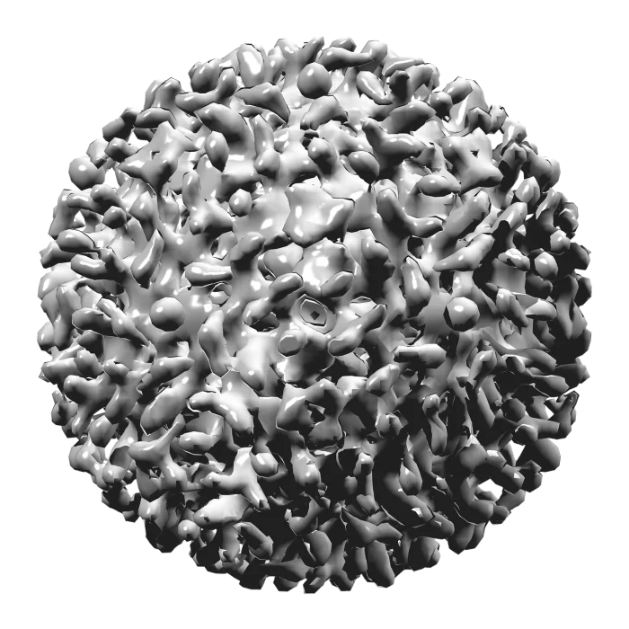 Cada año mueren 1,3 millones de personas en el mundo por causas relacionadas con hepatitis virales