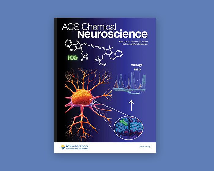 Estudian una molécula con potencial para mejorar métodos de diagnóstico por imágenes