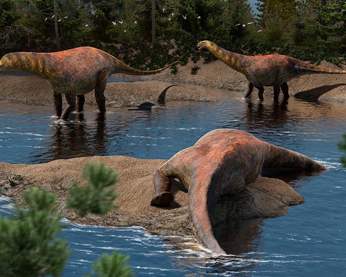 Descubren en Neuquén una nueva especie de dinosaurio saurópodo que vivió hace 95 millones de años