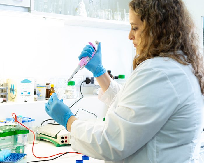 Revelan que las hormonas tiroideas favorecen la diseminación de ciertos linfomas