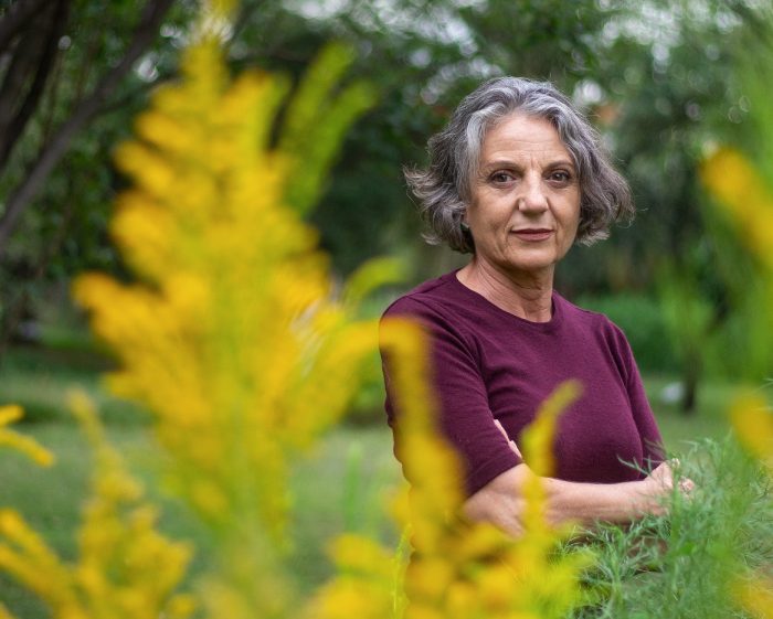 Las raíces y las semillas: un vínculo subterráneo que moldea la biodiversidad mundial