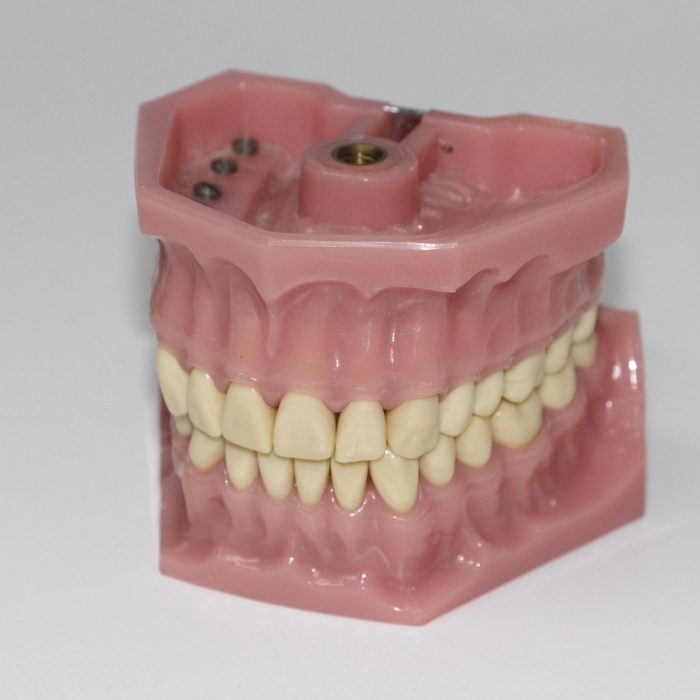 La ciencia avanza con la regeneración de dientes humanos