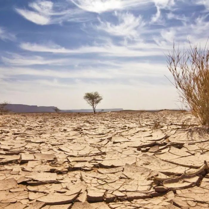 Según la UBA, más de un tercio del suelo argentino está en peligro